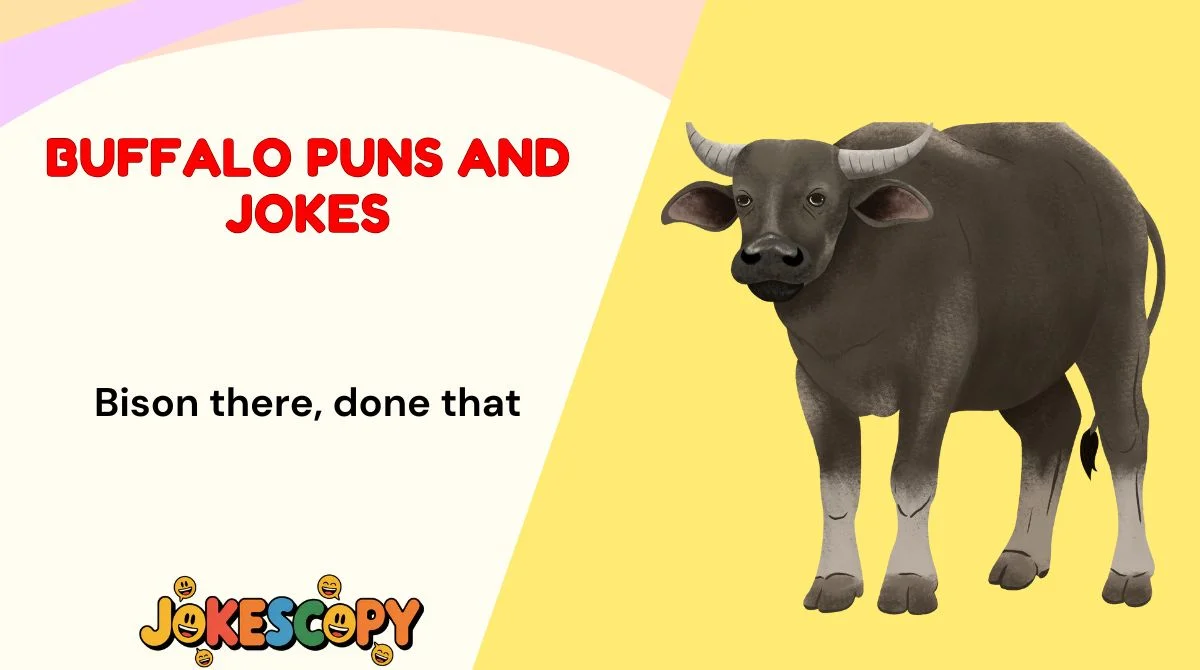Buffalo Puns and Jokes