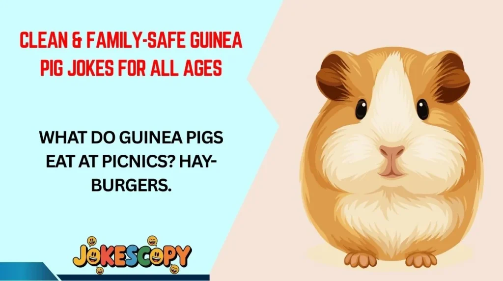 Clean & Family-Safe Guinea Pig Jokes for All Ages