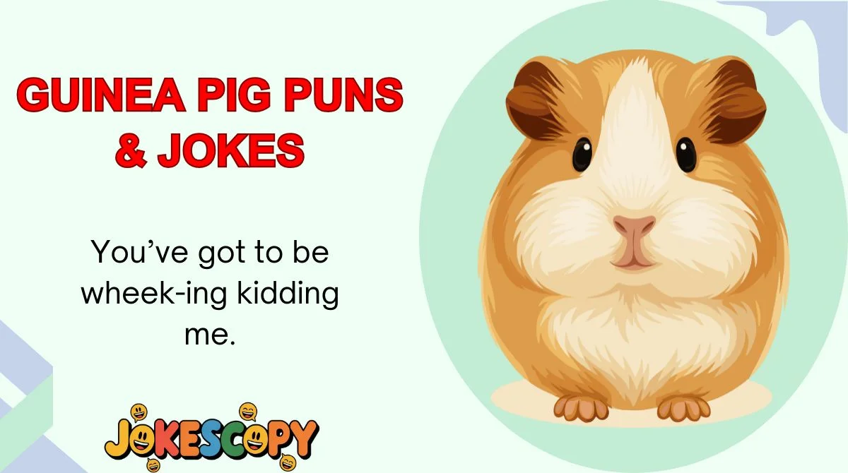 Guinea Pig Puns & Jokes