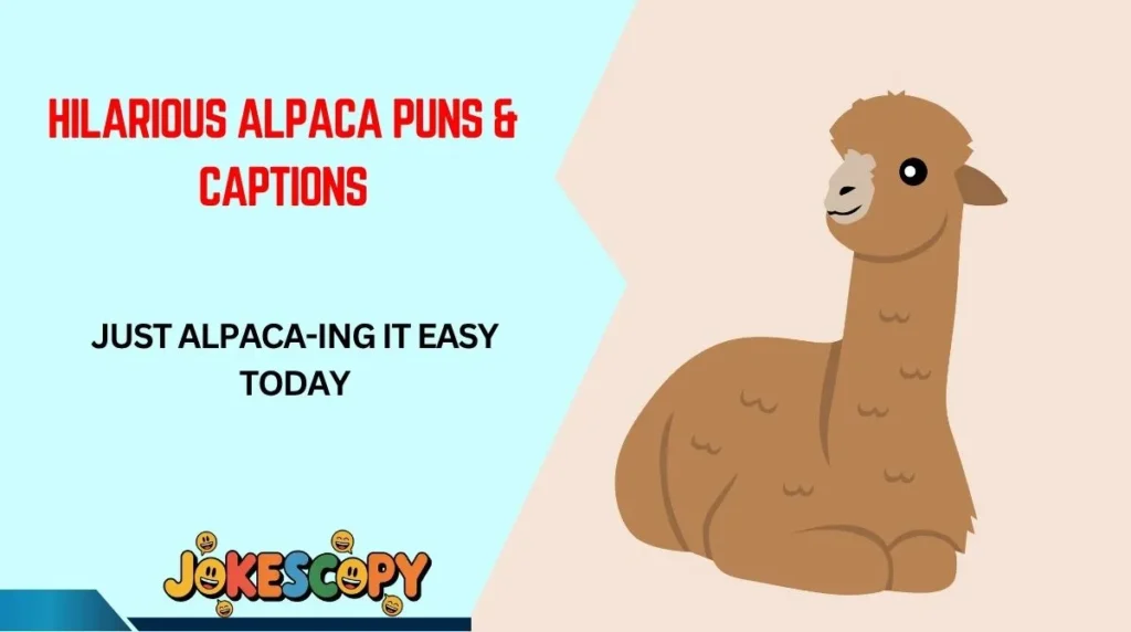 Hilarious Alpaca Puns & Captions