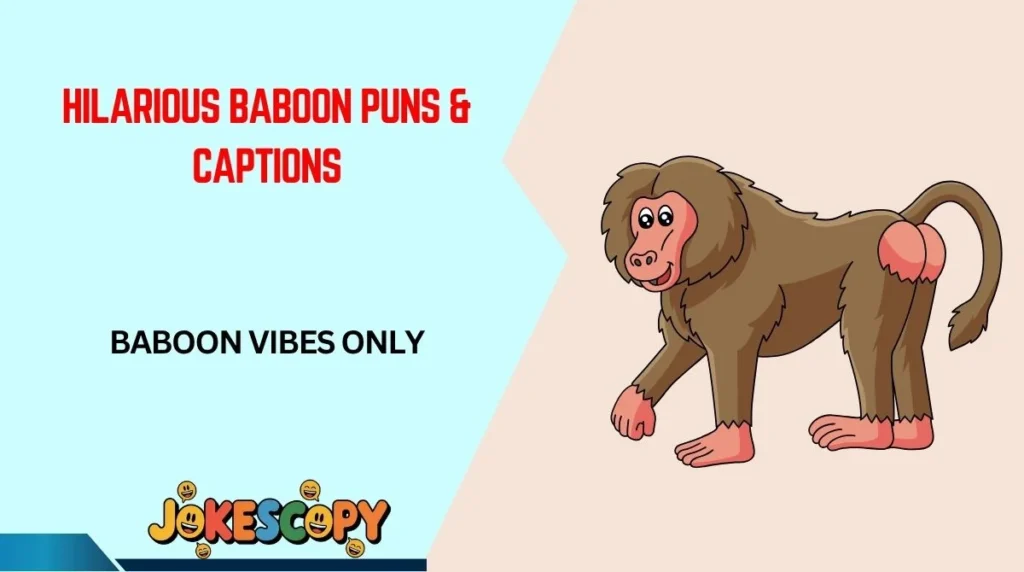 Hilarious Baboon Puns & Captions