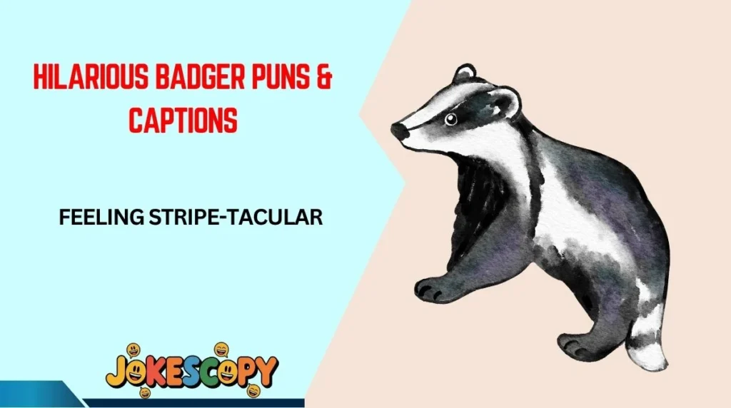 Hilarious Badger Puns & Captions