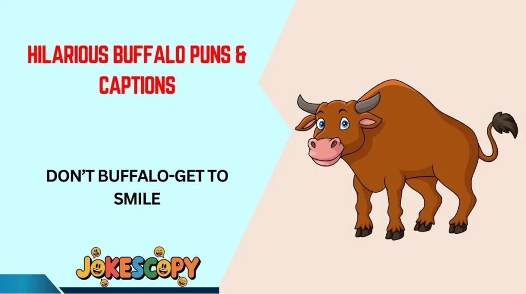 Hilarious Buffalo Puns & Captions