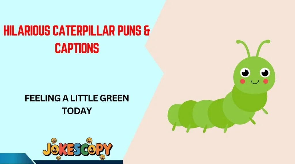 Hilarious Caterpillar Puns & Captions