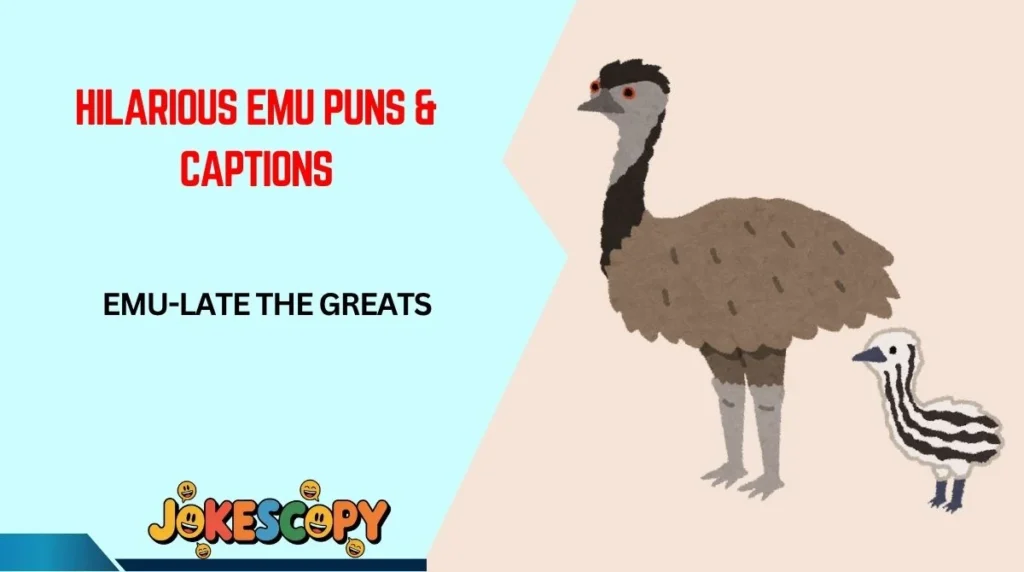 Hilarious Emu Puns & Captions