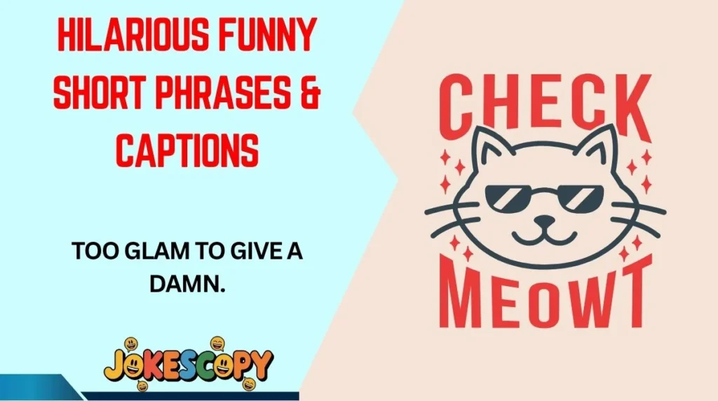 Hilarious Funny Short Phrases & Captions