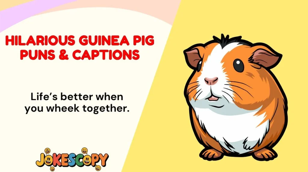 Hilarious Guinea Pig Puns & Captions