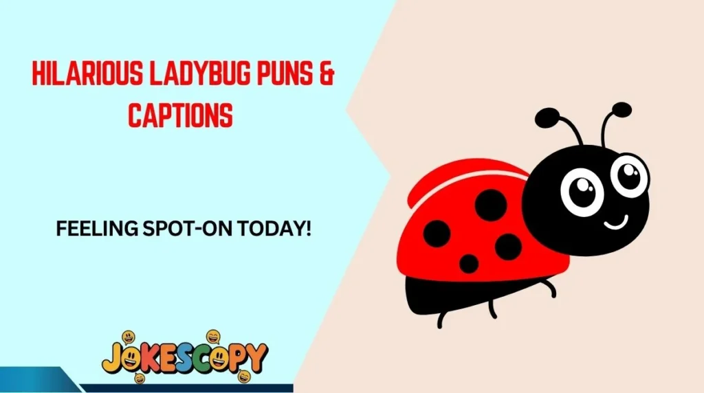 Hilarious Ladybug Puns & Captions