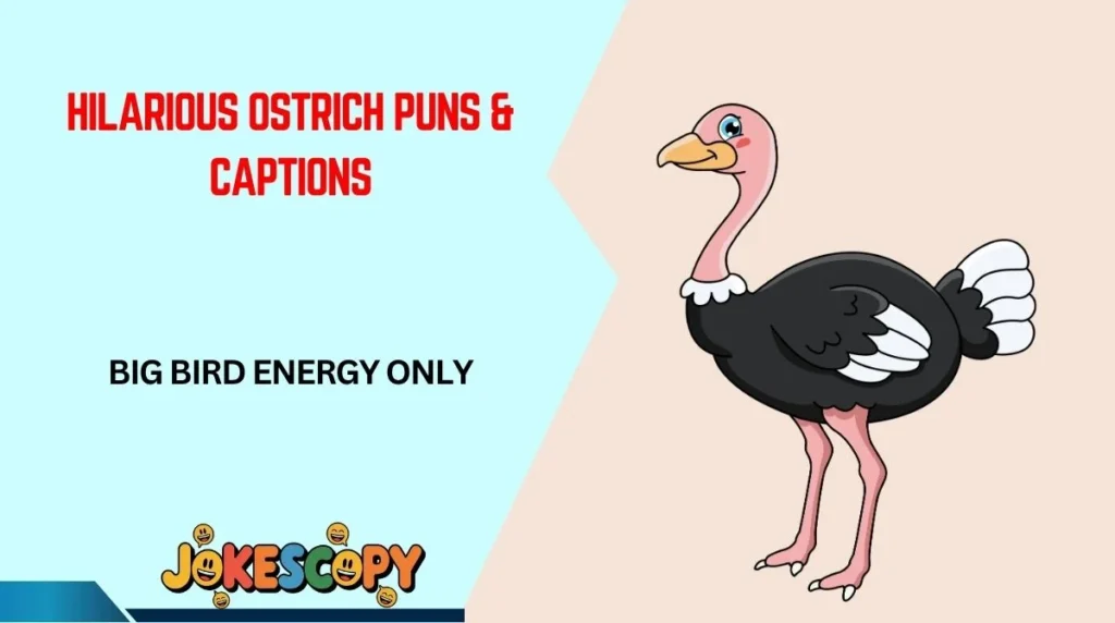 Hilarious Ostrich Puns & Captions