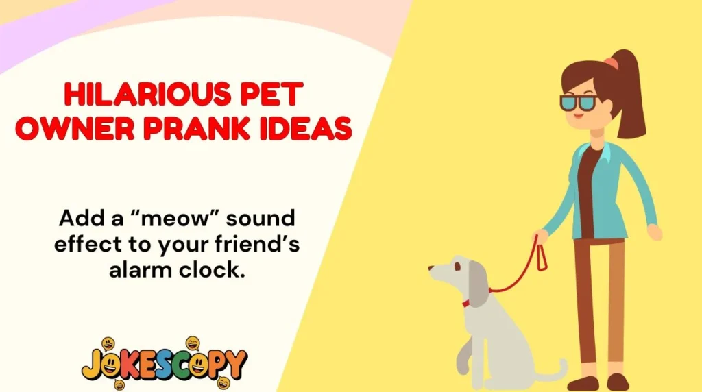 Hilarious Pet Owner Prank Ideas