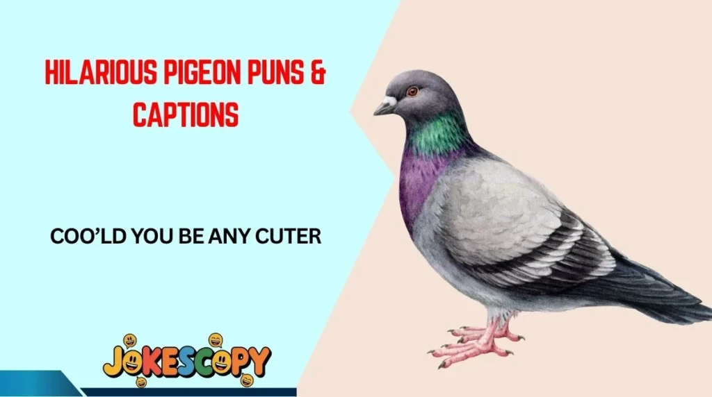Hilarious Pigeon Puns & Captions