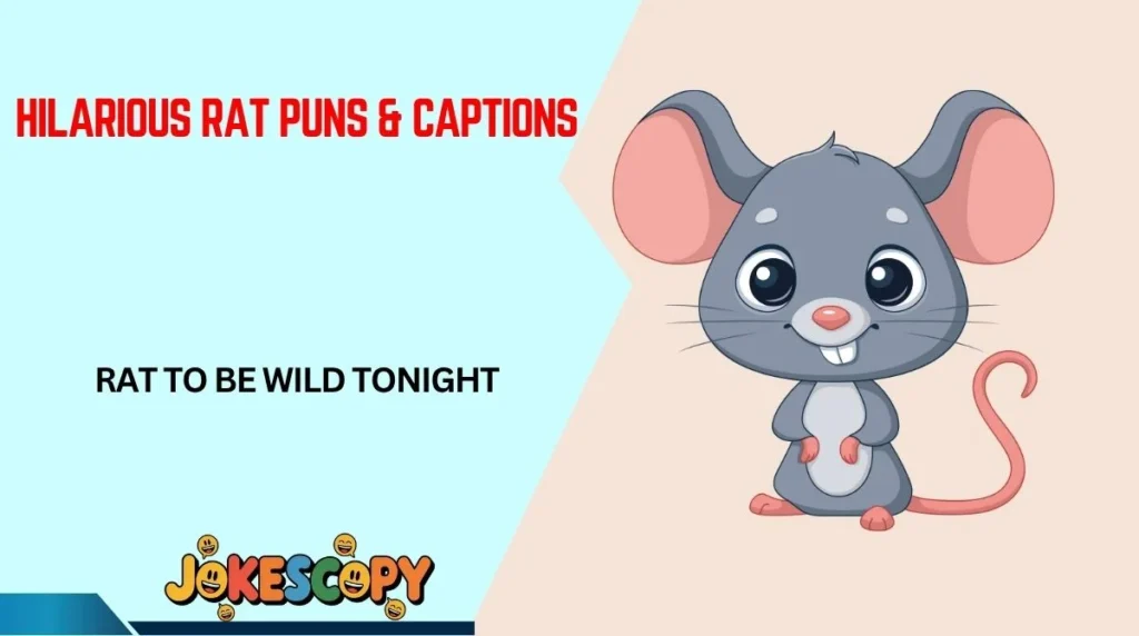 Hilarious Rat Puns & Captions