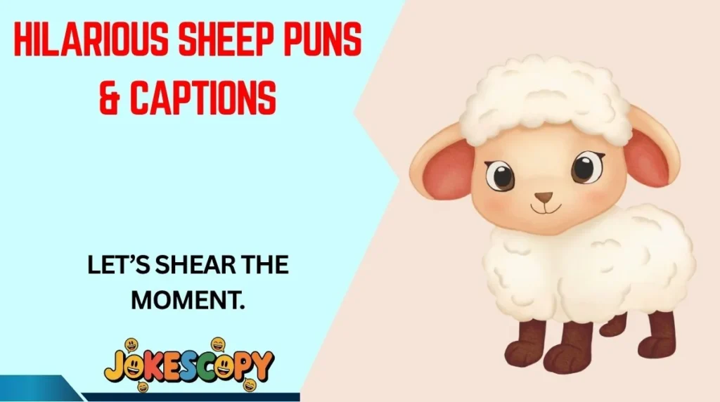 Hilarious Sheep Puns & Captions
