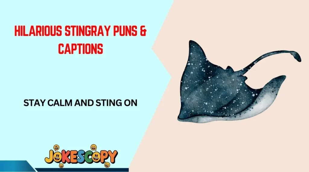 Hilarious Stingray Puns & Captions