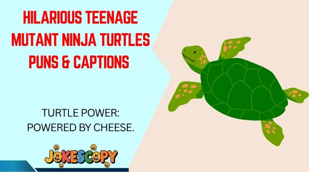 Hilarious Teenage Mutant Ninja Turtles Puns & Captions