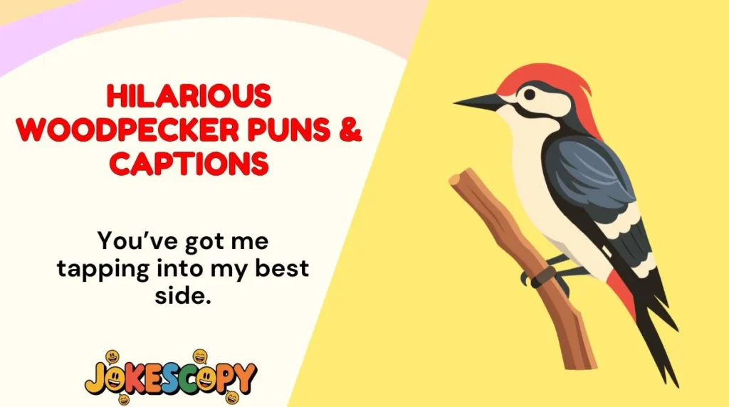 Hilarious Woodpecker Puns & Captions