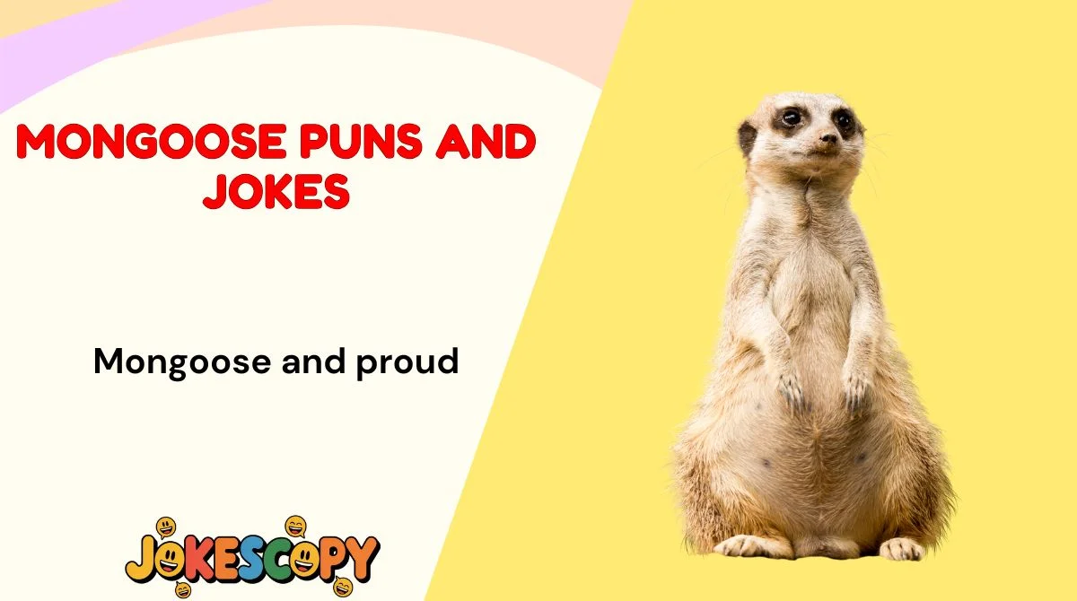 Mongoose Puns and Jokes