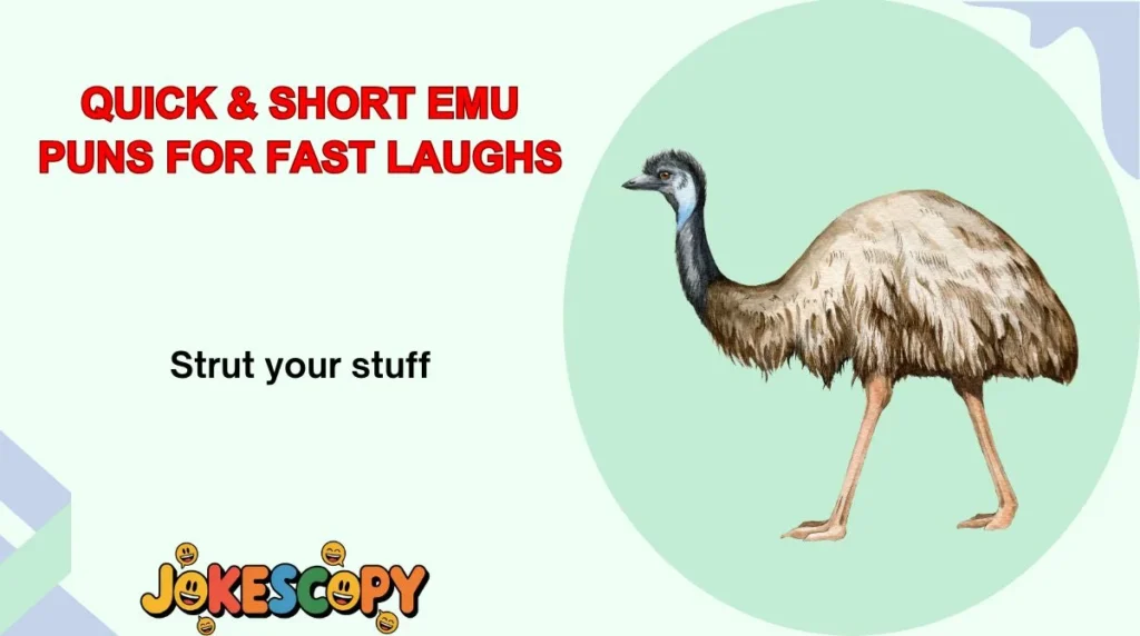 Quick & Short Emu Puns for Fast Laughs