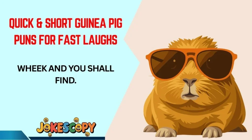 Quick & Short Guinea Pig Puns for Fast Laughs