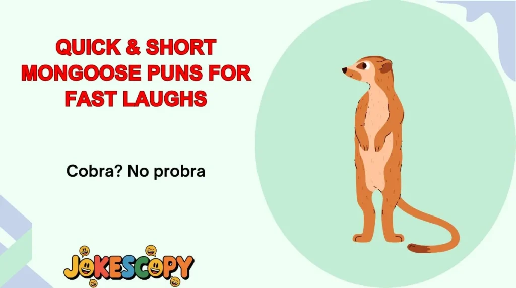Quick & Short Mongoose Puns for Fast Laughs