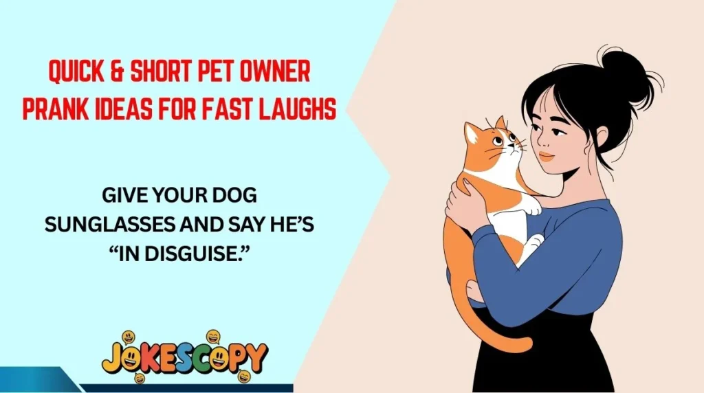 Quick & Short Pet Owner Prank Ideas for Fast Laughs