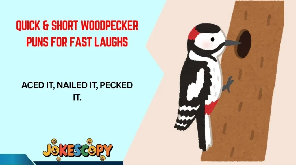 Quick & Short Woodpecker Puns for Fast Laughs