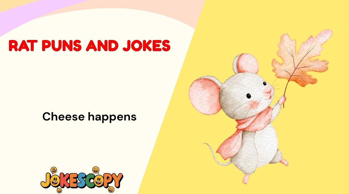 Rat Puns and Jokes