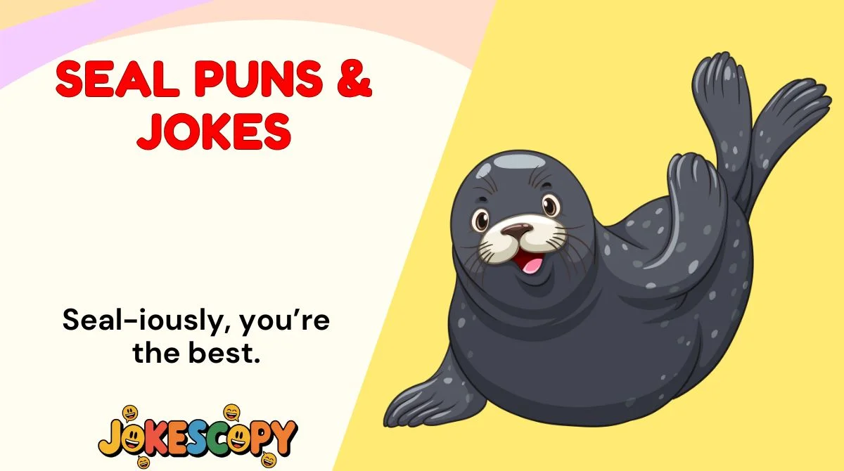 Seal Puns & Jokes