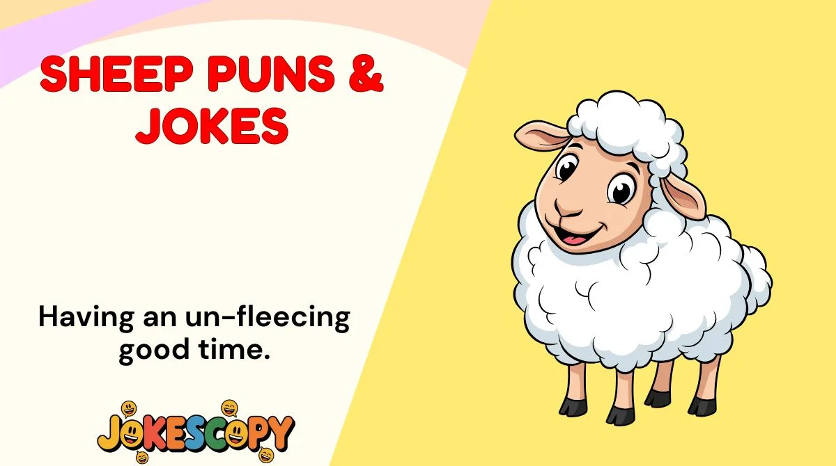 Sheep Puns & Jokes