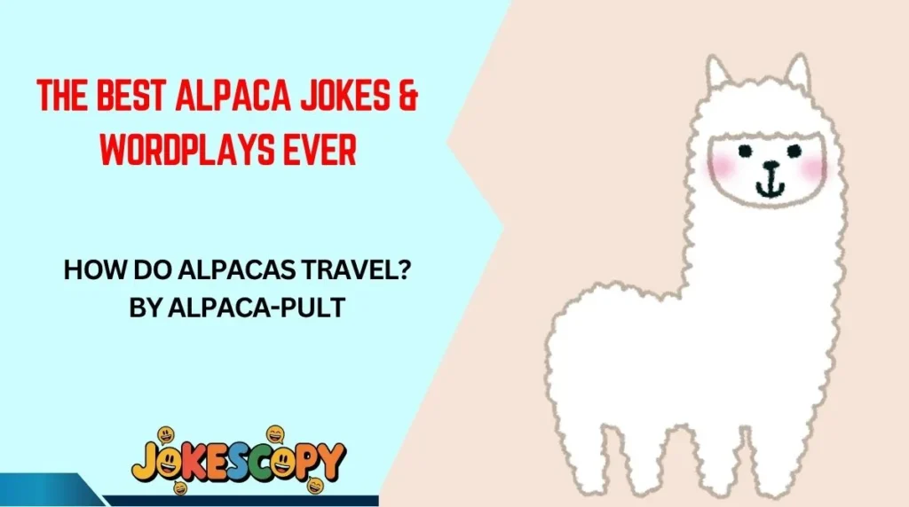 The Best Alpaca Jokes & Wordplays Ever