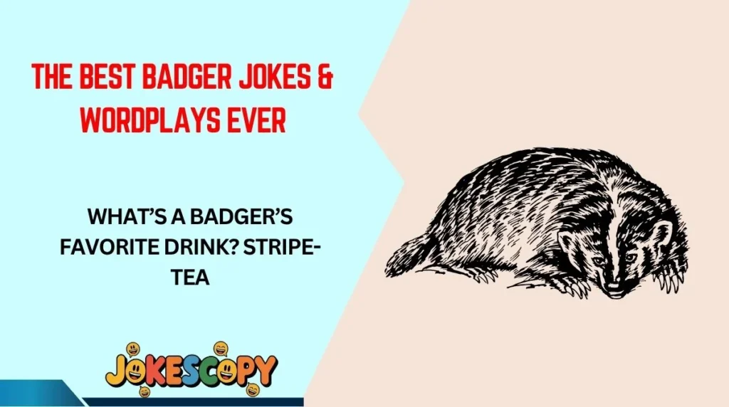 The Best Badger Jokes & Wordplays Ever