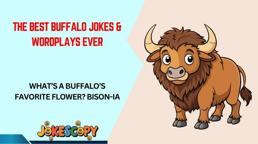 The Best Buffalo Jokes & Wordplays Ever