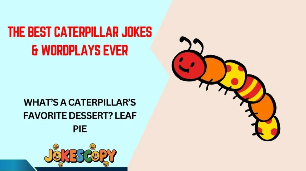 The Best Caterpillar Jokes & Wordplays Ever