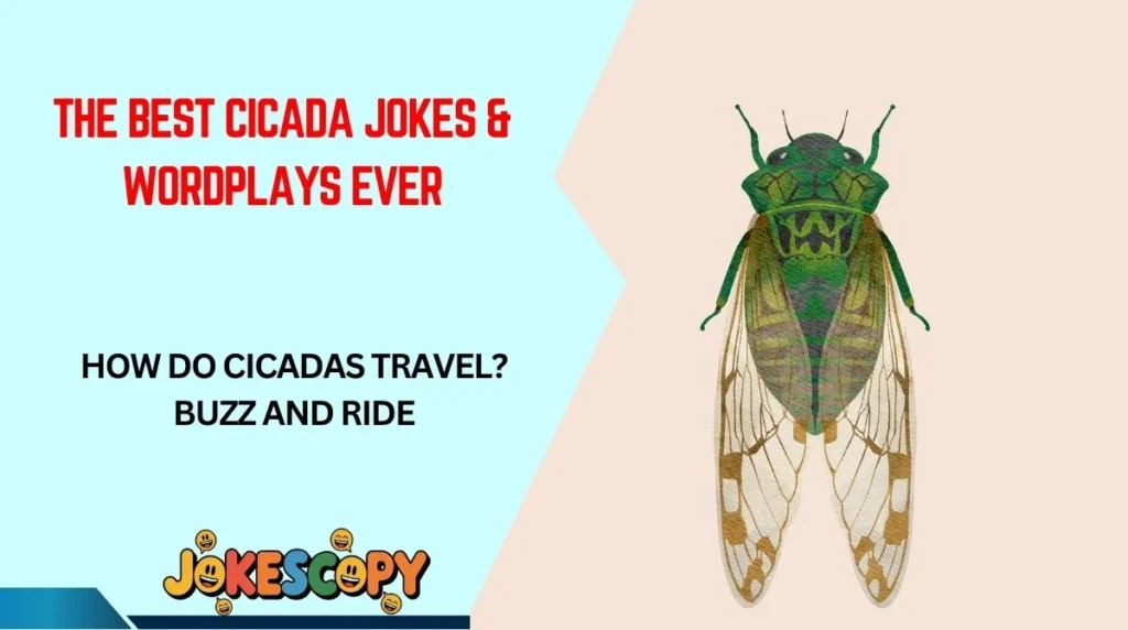 The Best Cicada Jokes & Wordplays Ever