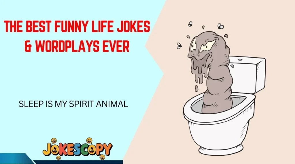 The Best Funny Life Jokes & Wordplays Ever