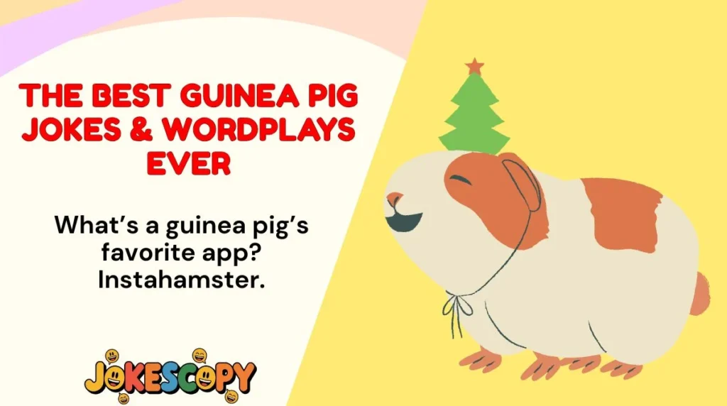 The Best Guinea Pig Jokes & Wordplays Ever