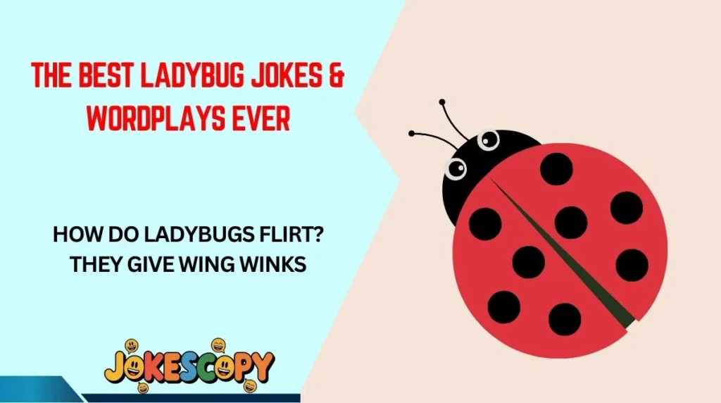 The Best Ladybug Jokes & Wordplays Ever
