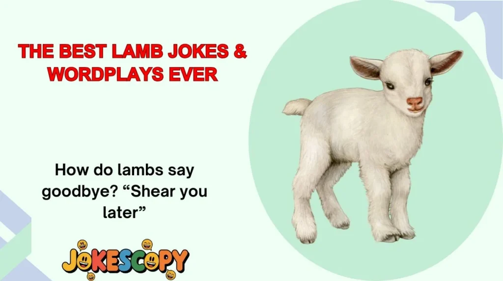 The Best Lamb Jokes & Wordplays Ever