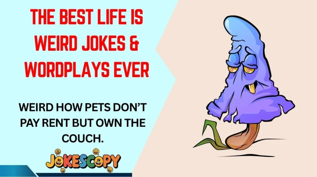 The Best Life Is Weird Jokes & Wordplays Ever