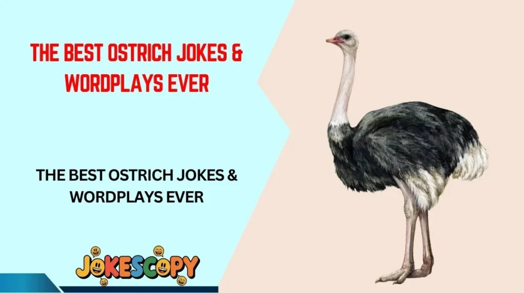 The Best Ostrich Jokes & Wordplays Ever