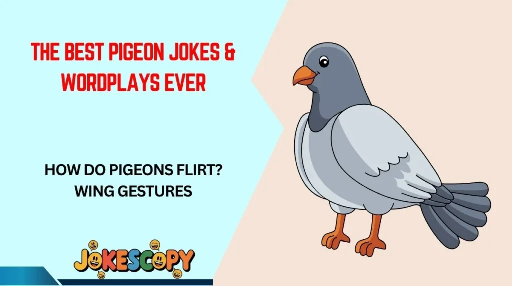 The Best Pigeon Jokes & Wordplays Ever