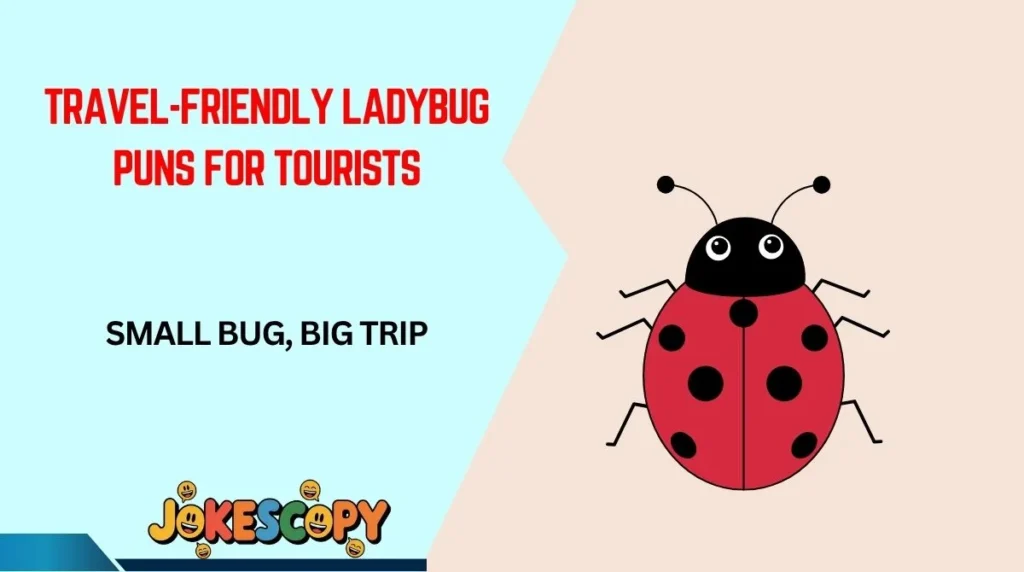 Travel-Friendly Ladybug Puns for Tourists