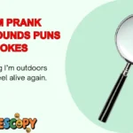 Zoom Prank Backgrounds Puns & Jokes