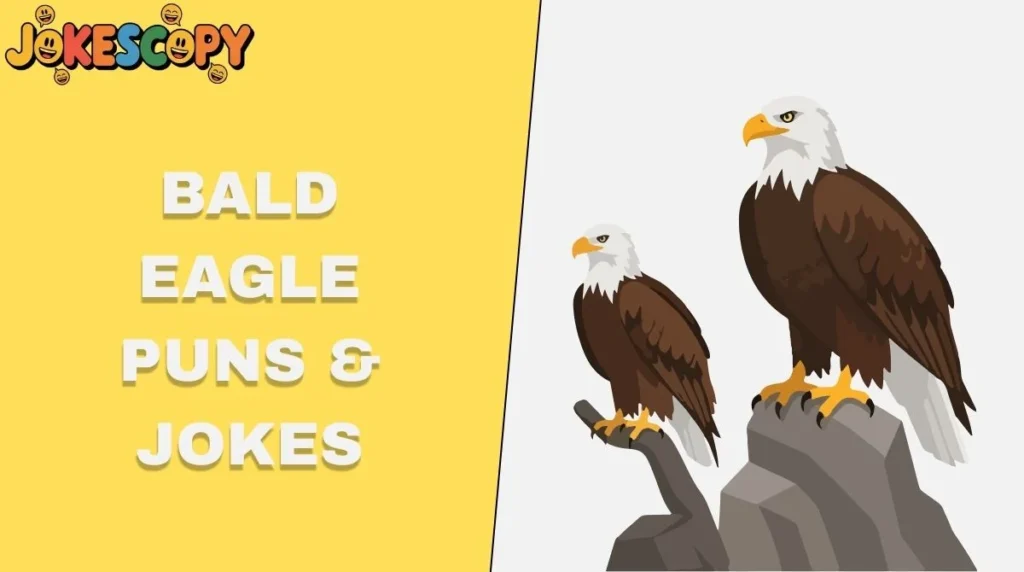 Bald Eagle Puns & Jokes