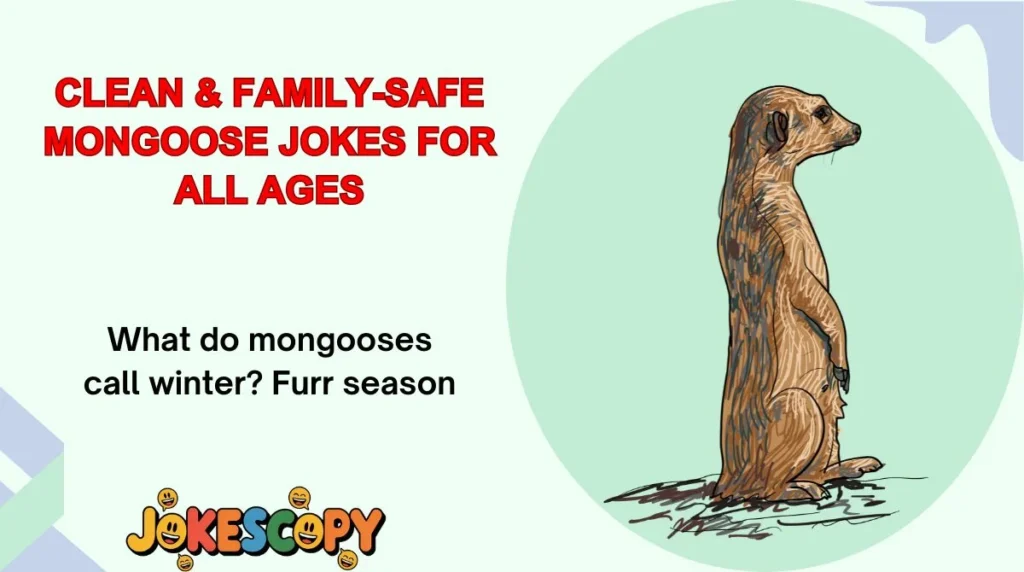 Clean & Family-Safe Mongoose Jokes for All Ages