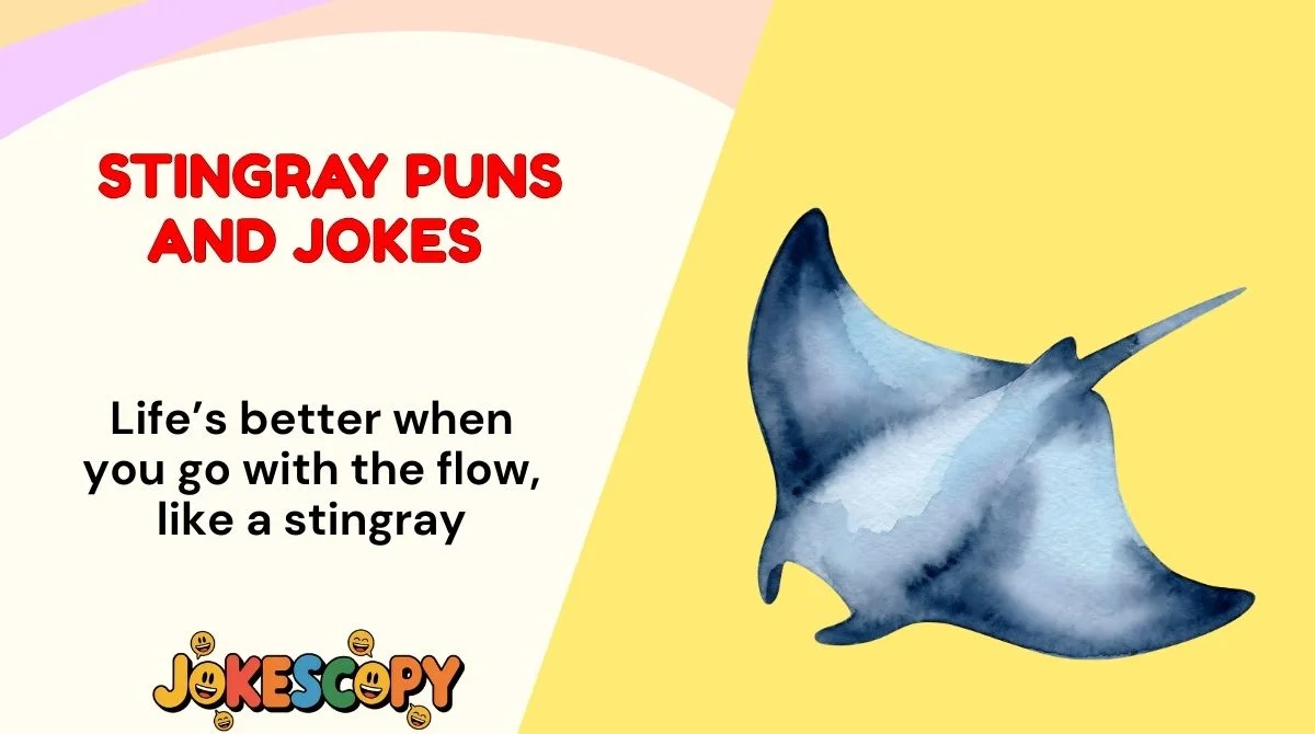 Stingray Puns and Jokes