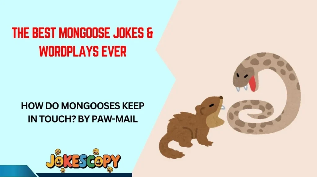 The Best Mongoose Jokes & Wordplays Ever