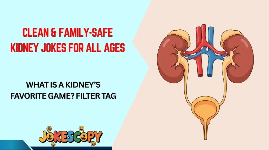 Clean & Family-Safe Kidney Jokes for All Ages