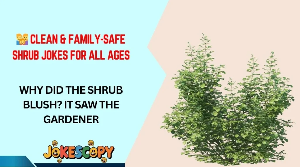👨👩👧 Clean & Family-Safe Shrub Jokes for All Ages
