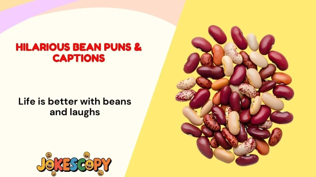 Hilarious Bean Puns & Captions